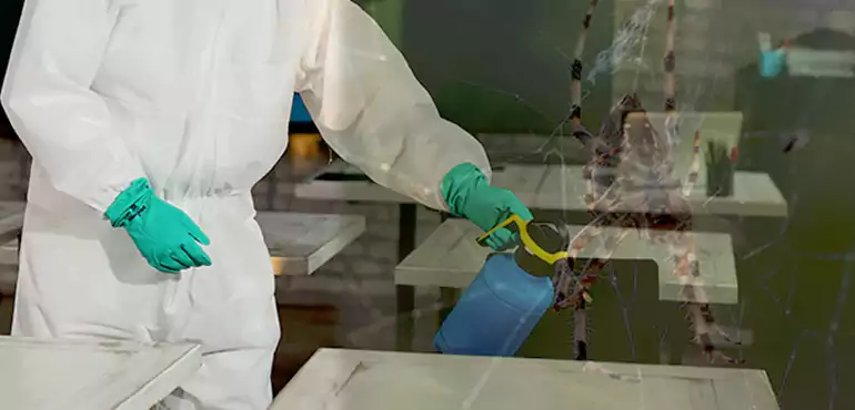 Why Buyers Still Want Homes With Pest Infestations in Irvine, CA?