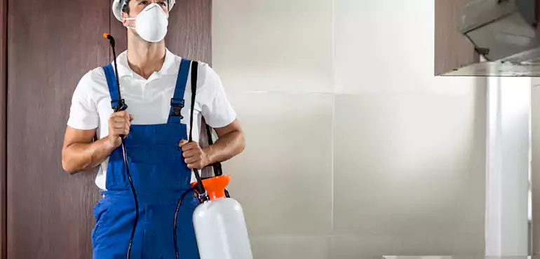 Why Irvine Homeowners Choose Us When Pests Make Selling Difficult
